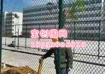 圍網(wǎng)