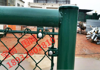 圍網(wǎng)