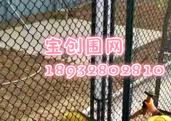 籃球場(chǎng)圍網(wǎng)